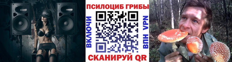 Галлюциногенные грибы ЛСД  hydra как зайти  Светогорск 