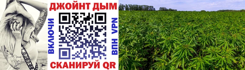 как найти наркотики  Светогорск  маркетплейс как зайти  Бошки Шишки Ganja 